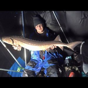 Meet your Posher, Zach